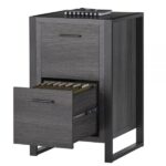 DeJori 20”D Vertical 2-Drawer File Cabinet, Charcoal